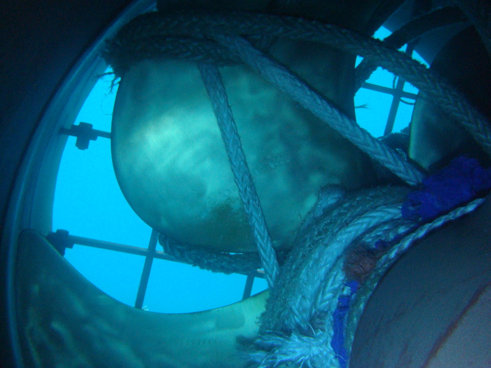 imagen servicios/fotos/