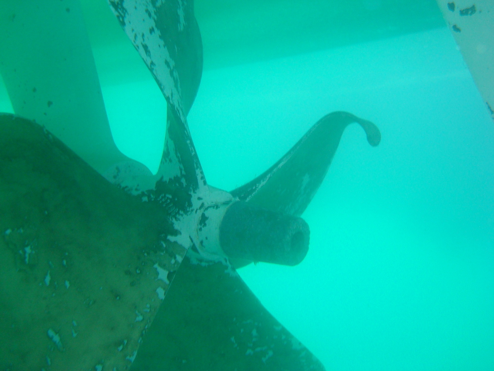 imagen servicios/fotos/