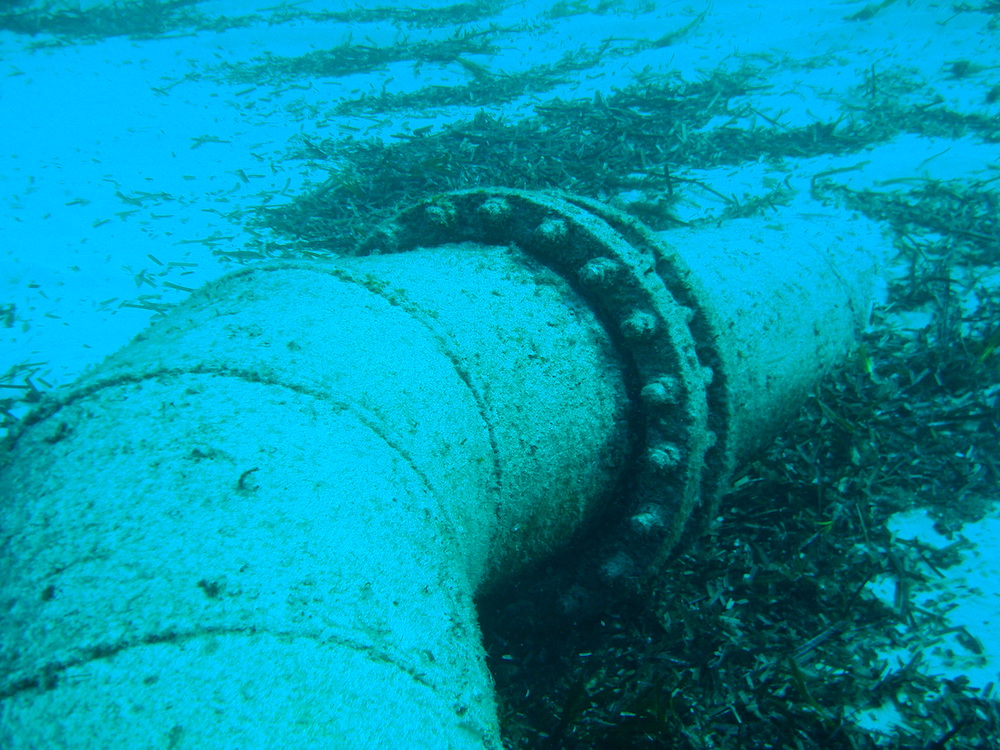 imagen servicios/fotos/